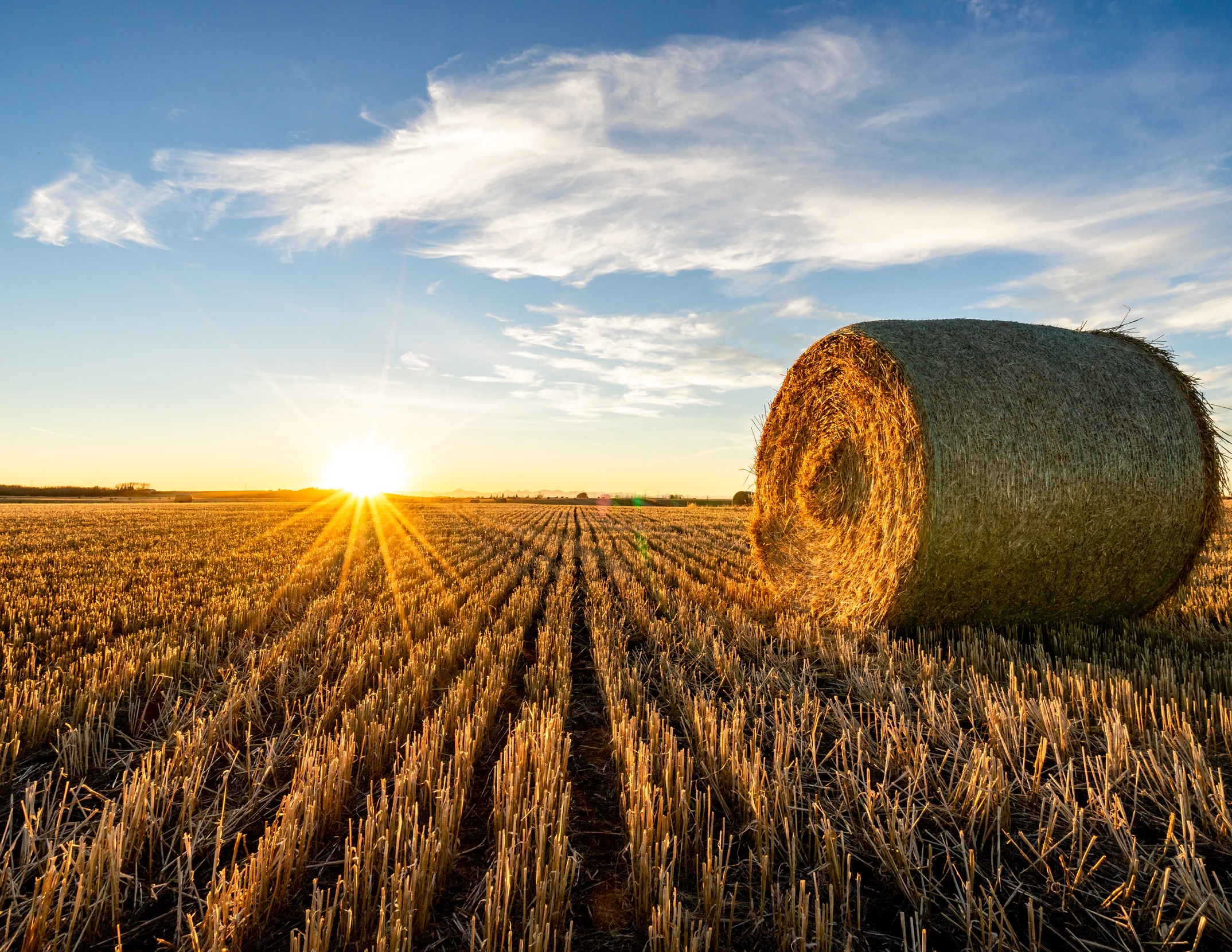 farm harvest crypto